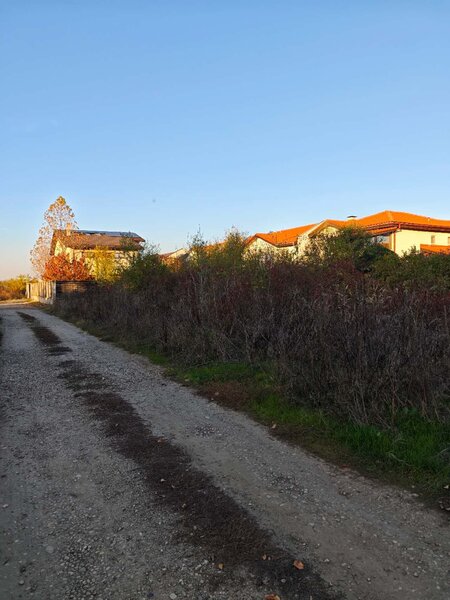 Voluntari